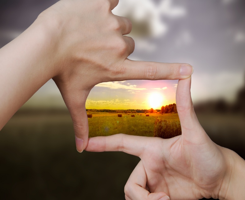A hand framing a picture of a field

AI-generated content may be incorrect.